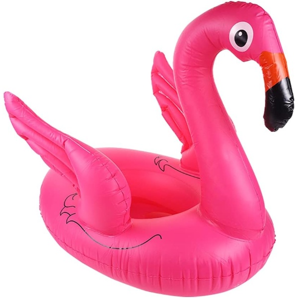 Baby Flamingo