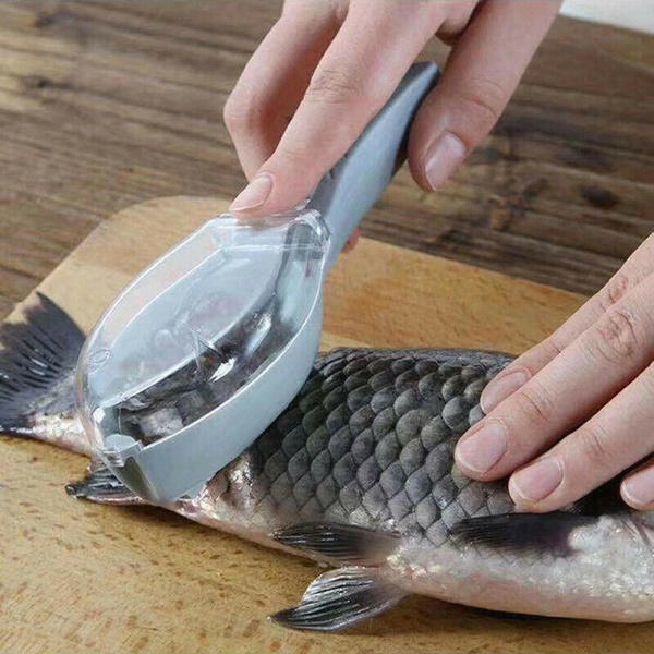 Fish Clean -1