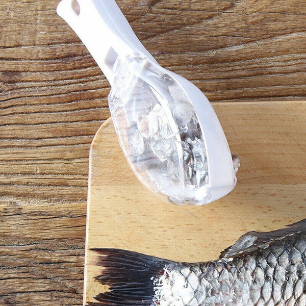 Fish Clean -2