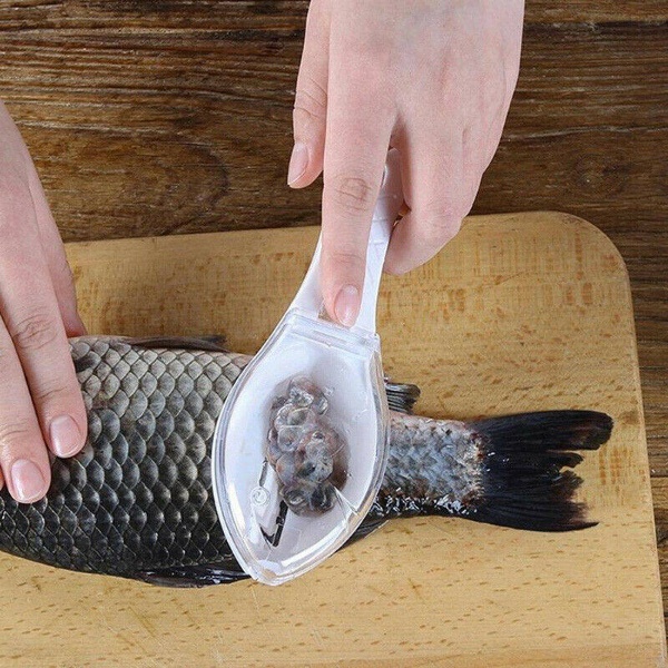 Fish Clean -5