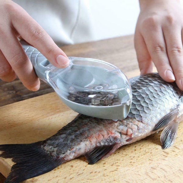 Fish Clean -7